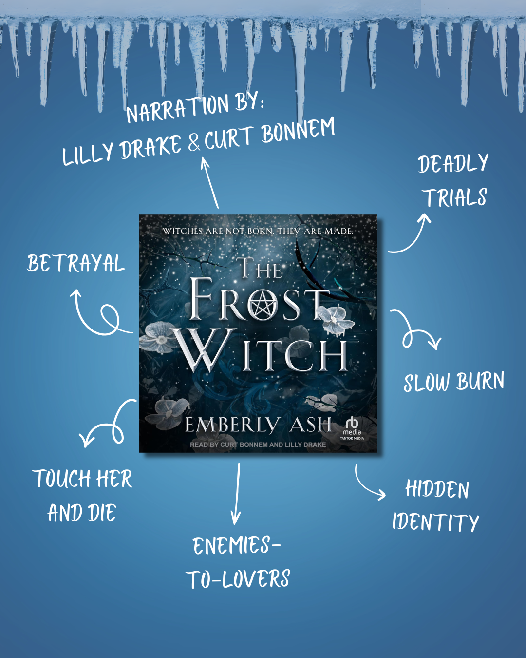 The Frost Witch, by Emberly Ash